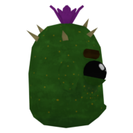Cactus portrait
